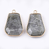 Natural Labradorite Pendants G-T112-15B-2