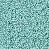MIYUKI Delica Beads SEED-JP0008-DB0626-3