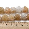 Natural Weathered Agate Beads Strands G-P538-A01-03-5