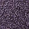 TOHO Round Seed Beads SEED-JPTR08-PF2108-2