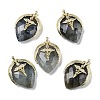 Natural Labradorite Pendants G-U019-01G-02-1