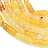 Natural Agate Beads Strands G-Z144-A02-01C-4