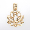 Alloy Diffuser Locket Pendants PALLOY-S062-40G-2