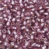 Silver Lined Glass Seed Beads SEED-T007-18A-10-3