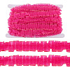 10M Double Layer Polyester Lace Ribbon OCOR-TA0004-14G-1