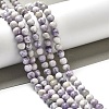 Natural Purple Turquoise Beads Strands G-L595-C04-01-2