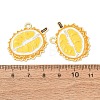 Alloy Enamel Pendants AL-CBA1DF6-02H-2