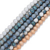 Electroplate Frosted Glass Beads Strands EGLA-N006-036-1