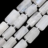 Natural Rainbow Moonstone Beads Strands G-C270-J01-2