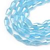 Opaque Glass Beads Strands GLAA-P001-04A-03-2