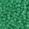 FGB Frosted Transparent Glass Seed Beads SEED-N013-03A-09-3
