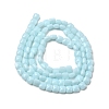 Opaque Glass Beads Strands GLAA-L050-C14-2