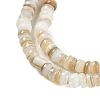 Natural Freshwater Shell Beads Strands BSHE-H109-13A-4
