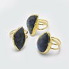 Natural Labradorite Cuff Rings RJEW-P068-11G-1