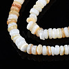 Natural Freshwater Shell Beads Strands X-SHEL-S278-067G-3