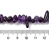 Natural Amethyst Chip Beads Strands G-L607-A01-01-3