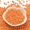 Baking Paint Pearlized Glass Seed Beads SEED-C001-04A-19-2