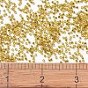 MIYUKI Delica Beads X-SEED-J020-DB2157-4