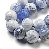 Faceted Natural Fire Crackle Agate Beads Strands G-F447-12mm-N07-4