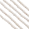 1 Strand Natural Cultured Freshwater Pearl Beads Strands PEAR-CA0001-15A-2