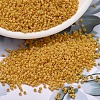 MIYUKI Delica Beads X-SEED-J020-DB2285-1