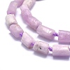 Natural Kunzite Beads Strands G-O170-43-3
