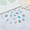 Natural Amazonite Chip Beads G-CJ0001-21-8