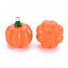 Autumn Theme Opaque Resin Pendants LS-X-RESI-S356-079-3