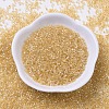 MIYUKI Delica Beads SEED-MY11-DB0100-2