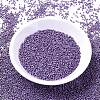 MIYUKI Delica Beads SEED-MY11-DB1185-2