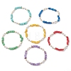 6Pcs 6 Colors Natural Freshwater Shell Chip & ABS Plastic Imitation Pearl Beaded Stretch Bracelets BJEW-JB12727-2