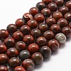 Natural Brecciated Jasper Bead Strands G-G735-35-10mm-1