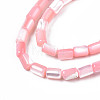 Natural Trochid Shell/Trochus Shell Beads Strands SHEL-N003-26-B05-3