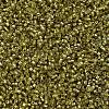 MIYUKI Delica Beads SEED-MY11-DB2164-3