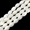 Natural Trochus Shell Beads Strands BSHE-E030-02C-2