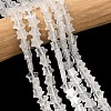 Natural Quartz Crystal Beads Strands G-F817-A16-01-1