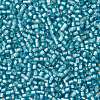 TOHO Round Seed Beads SEED-XTR11-0023F-2