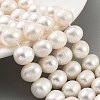 Natural Cultured Freshwater Pearl Beads Strands PEAR-C003-22A-2
