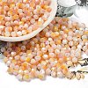 Baking Painted Glass Seed Beads SEED-C004-03H-1