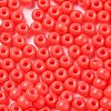 Baking Paint Glass Seed Beads SEED-H002-I-B513-3