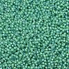 MIYUKI Delica Beads X-SEED-J020-DB2053-3