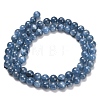 Natural Kyanite Beads Strands G-C259-B01-10mm-02-4