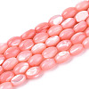 Natural Trochus Shell Beads Strands SHEL-K006-19-01E-1