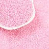 12/0 Glass Seed Beads SDB210-2