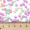 6/0 Glass Seed Beads SEED-L011-08A-01-4