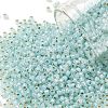 TOHO 11/0 Round Beads X-SEED-TR11-PF2116-1