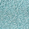 12/0 Grade A Round Glass Seed Beads SEED-Q007-F47-3