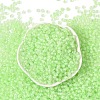 6/0 Luminous Glass Seed Beads SEED-NH0001-01K-3