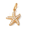 304 Stainless Steel Micro Pave Clear Cubic Zirconia Charms CU-CBA703A-01G-02-1