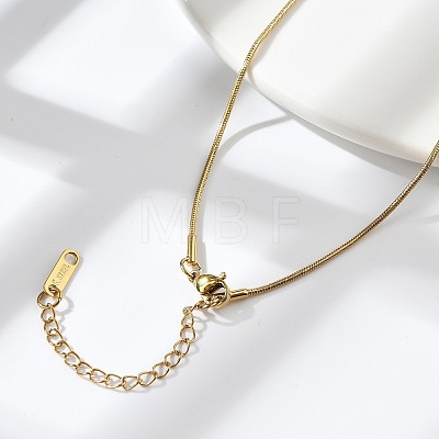 Ion Plating(IP) 304 Stainless Steel Round Snake Chain Necklace for Men Women NJEW-K245-016C-1